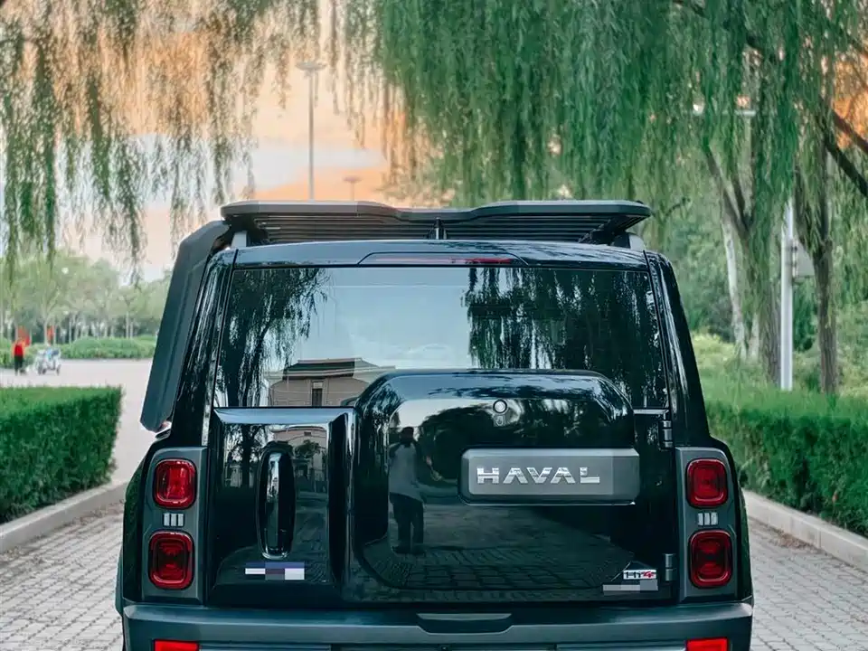 Haval Raptors