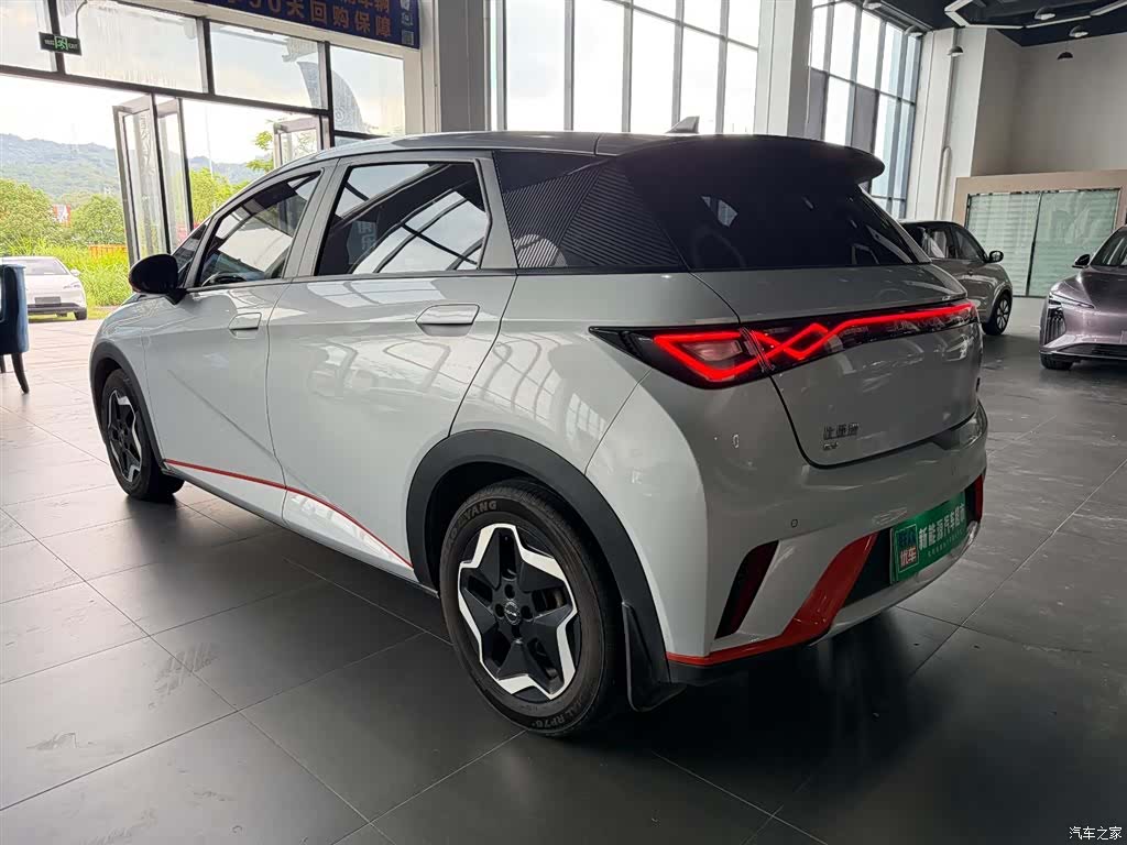 BYD Dolphin, 2022 все фото