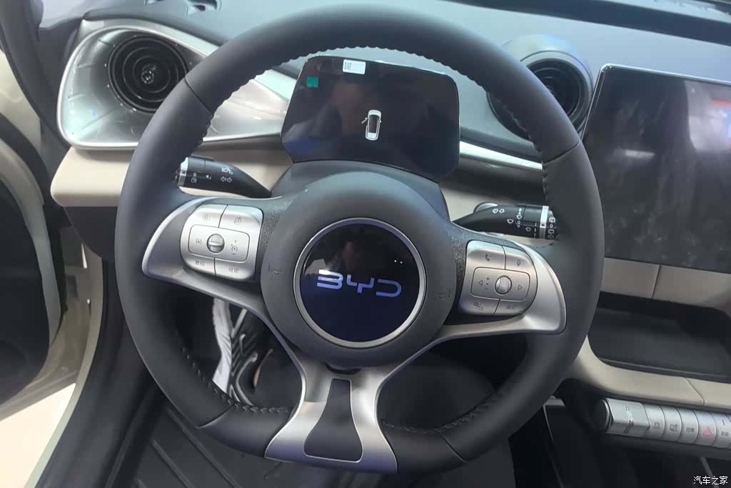 BYD Dolphin, 2026 15