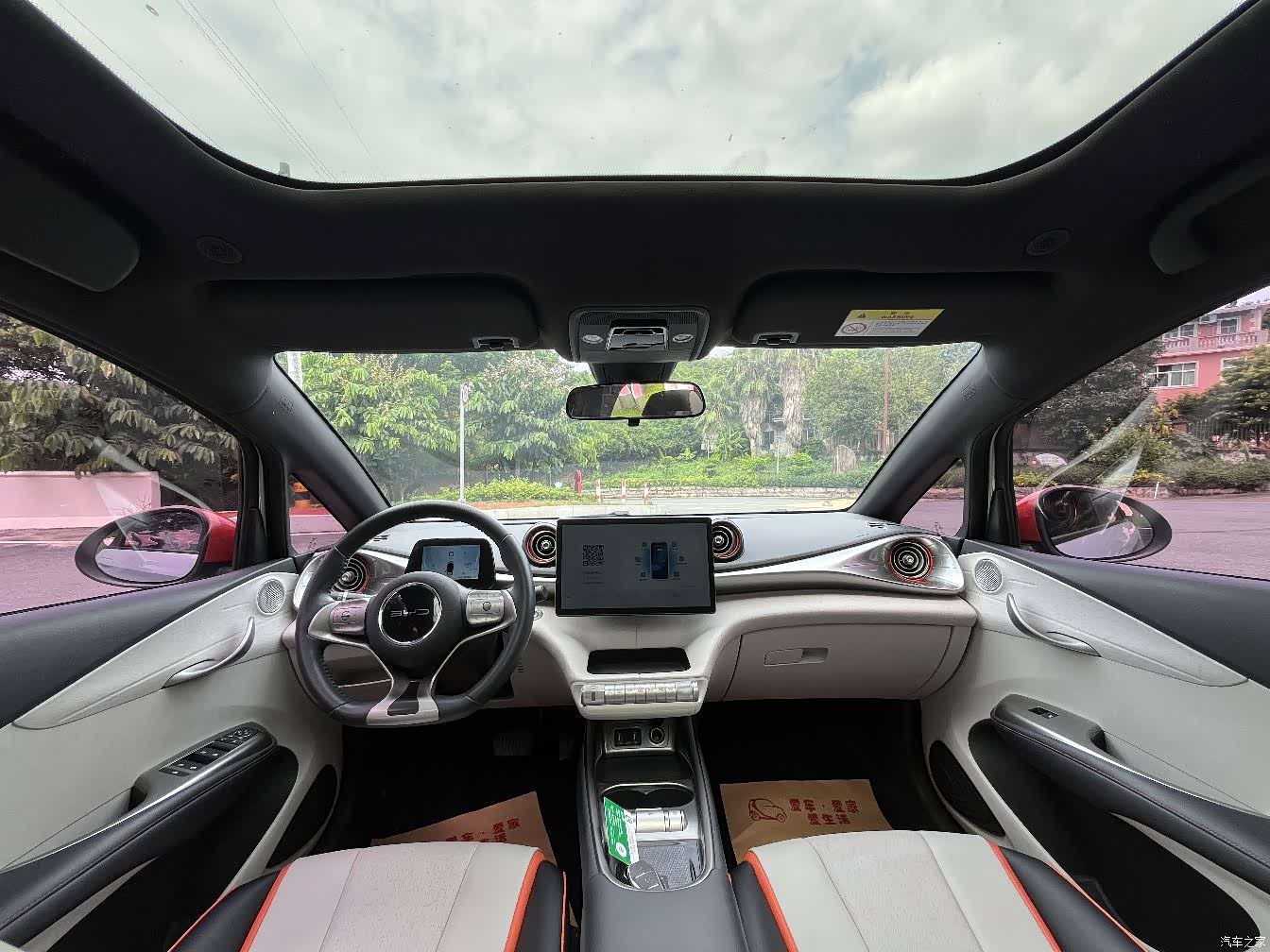BYD Dolphin, 2022 6