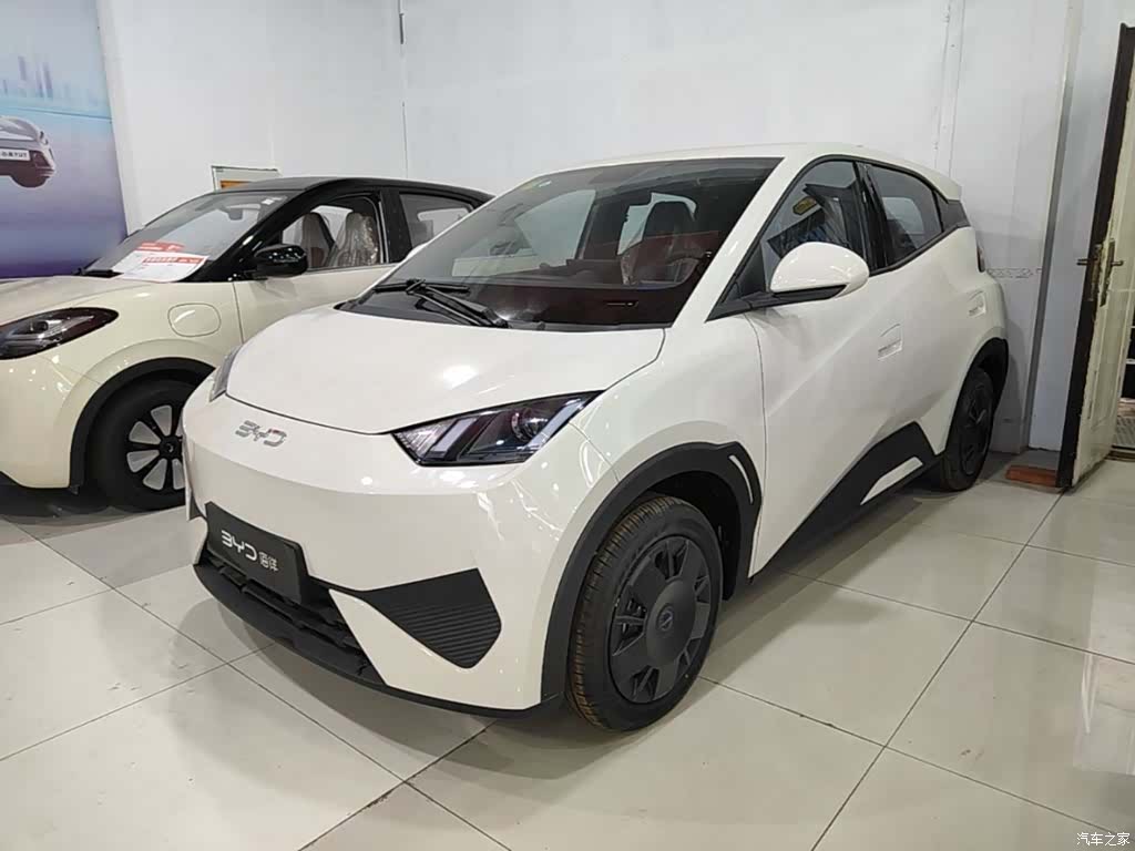 BYD Seagull, 2026 1