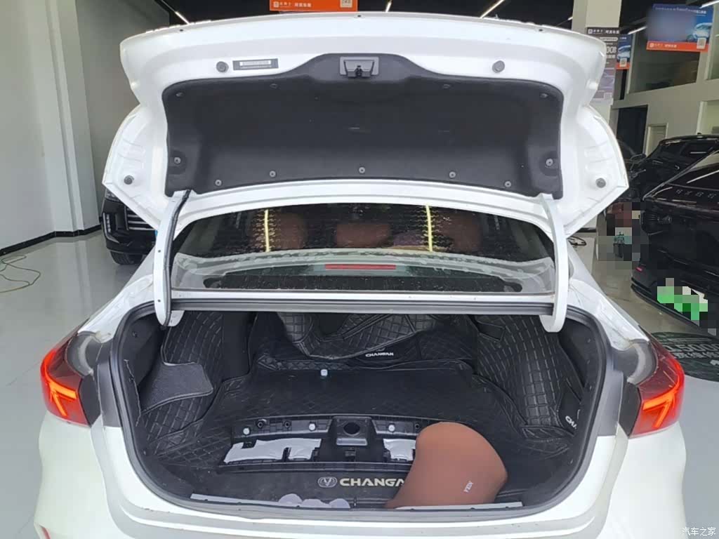 Changan Eado, 2024 19