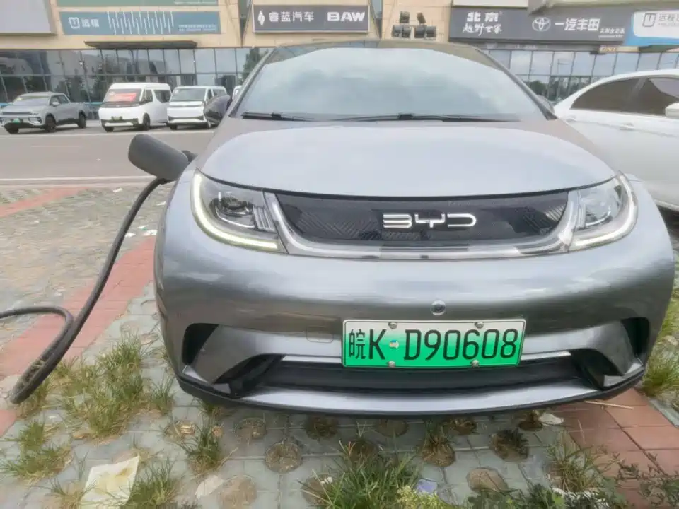 BYD dolphin