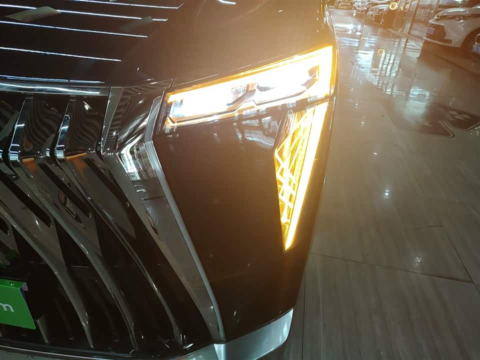 Trumpchi Trumpchi M8 Trumpchi Trumpchi M8