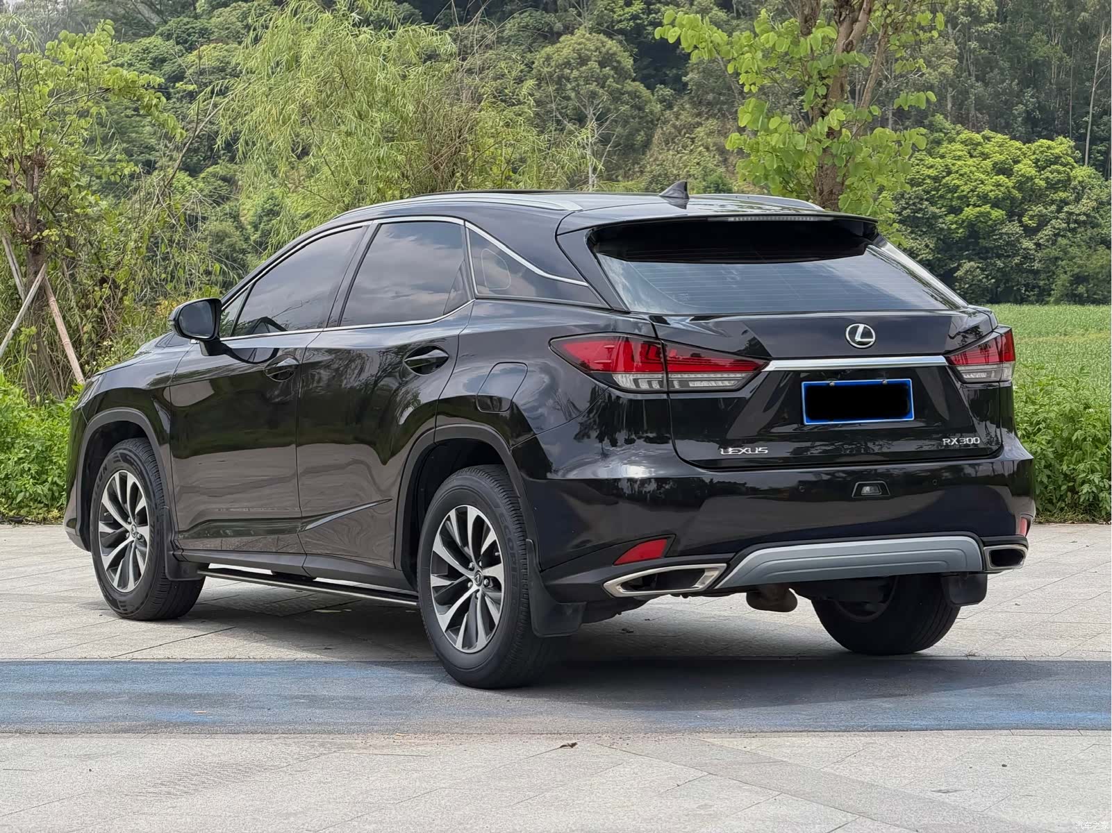Lexus RX, 2022 4