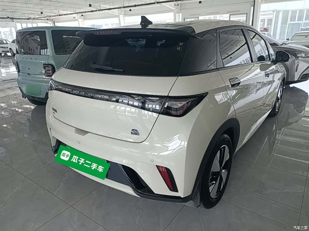 BYD Dolphin, 2024 7