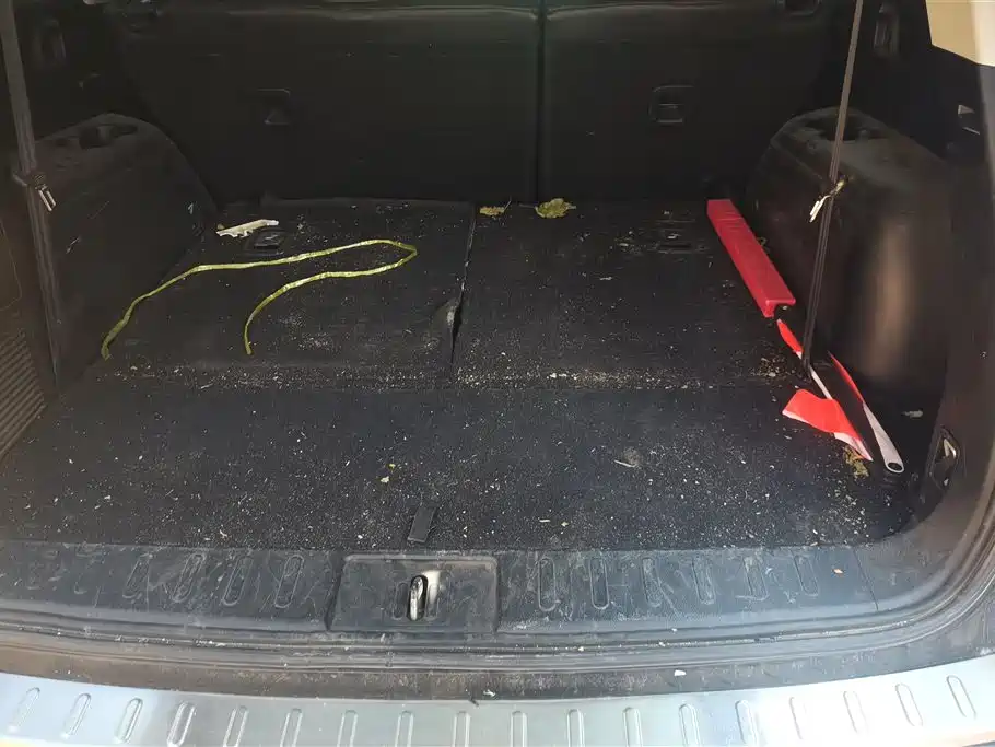 Trumpchi Trumpchi GS8