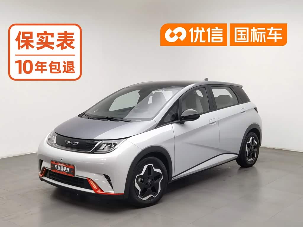 BYD Dolphin