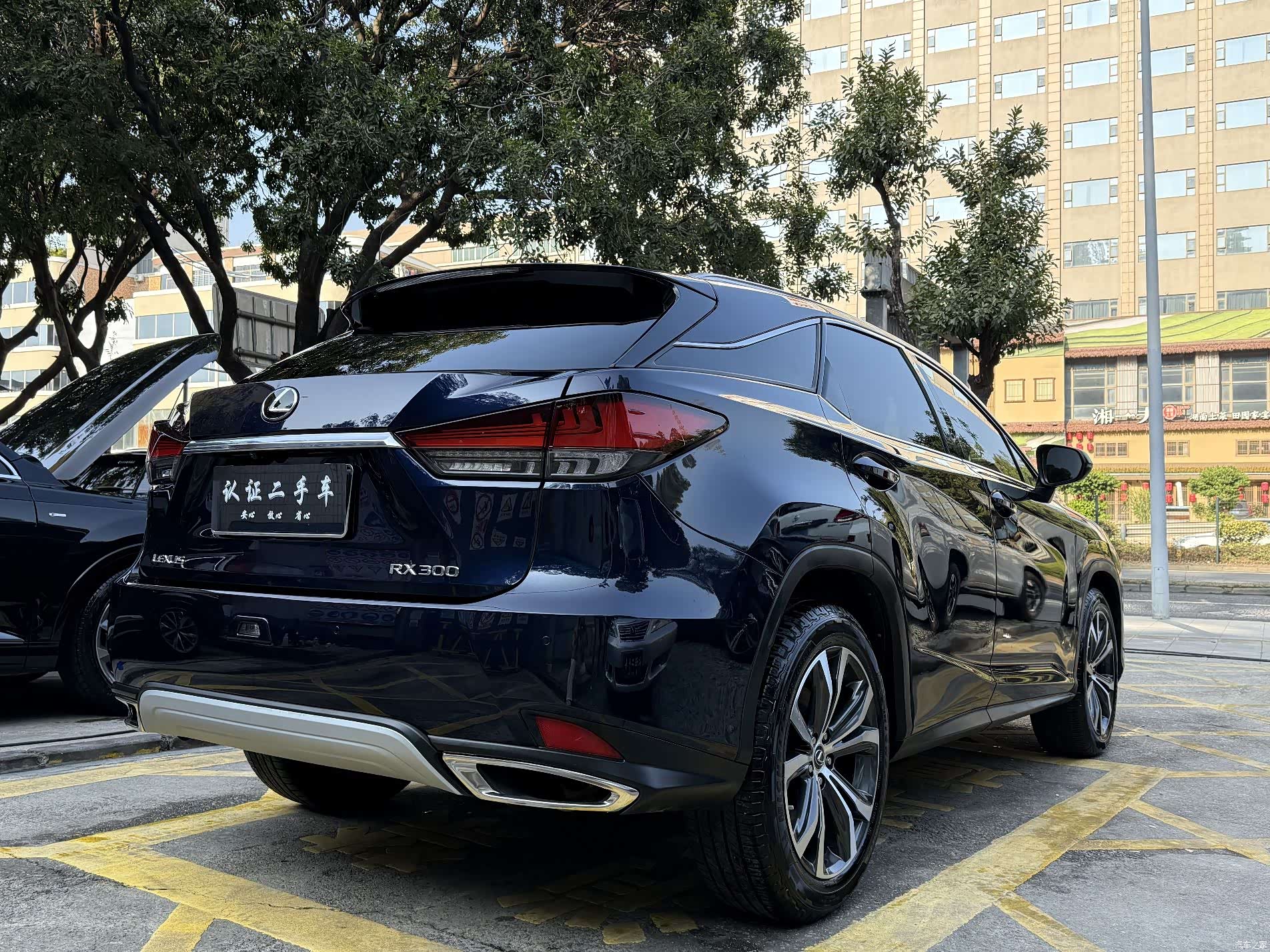 Lexus RX, 2022 все фото
