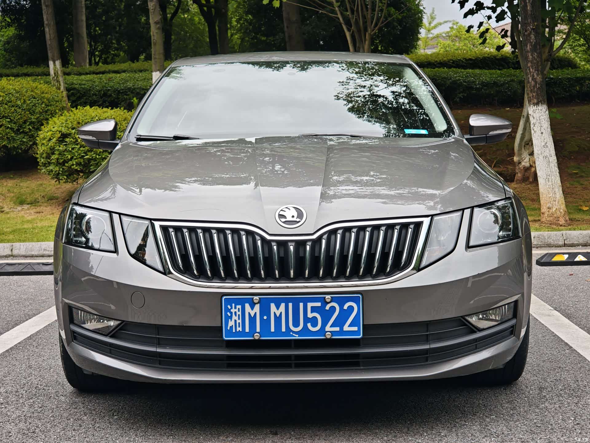 Skoda Octavia, 2019 2