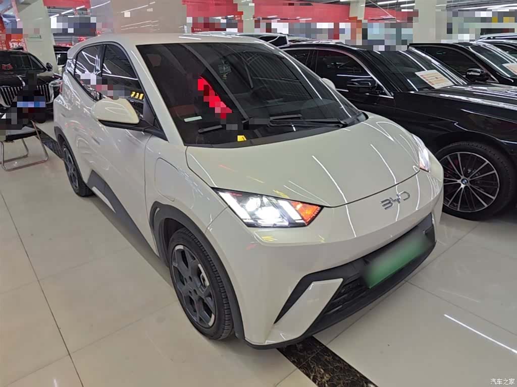 BYD Seagull, 2024 4