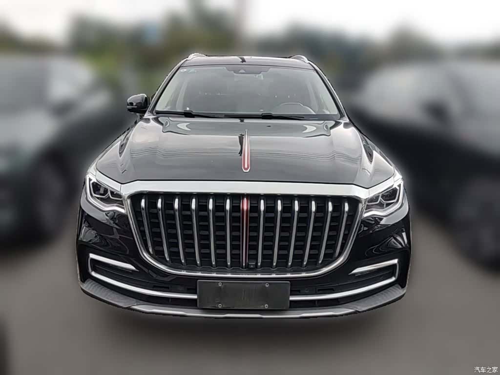 Hongqi HS7, 2020 все фото