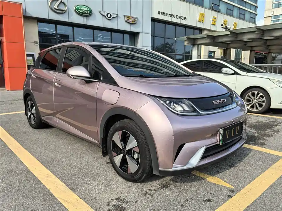 BYD dolphin