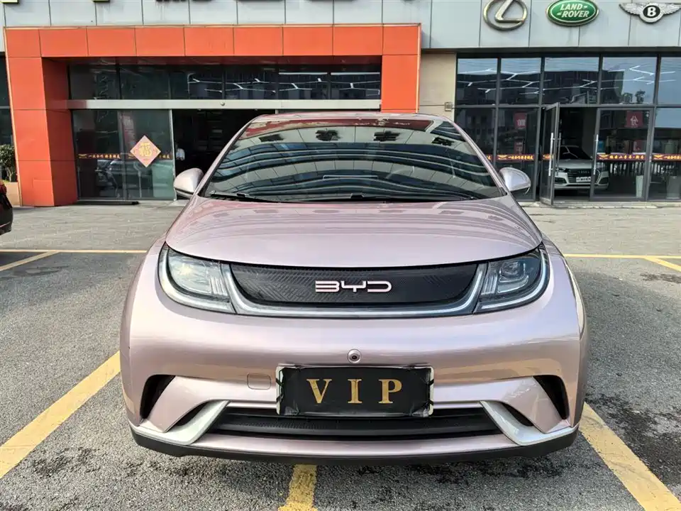 BYD dolphin