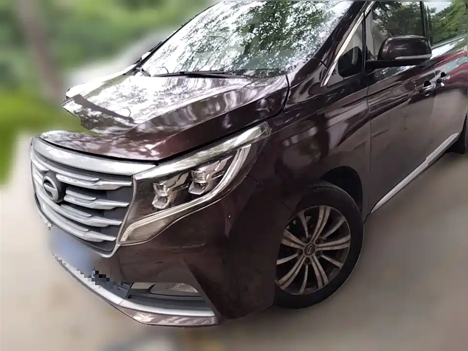 Trumpchi Trumpchi M8