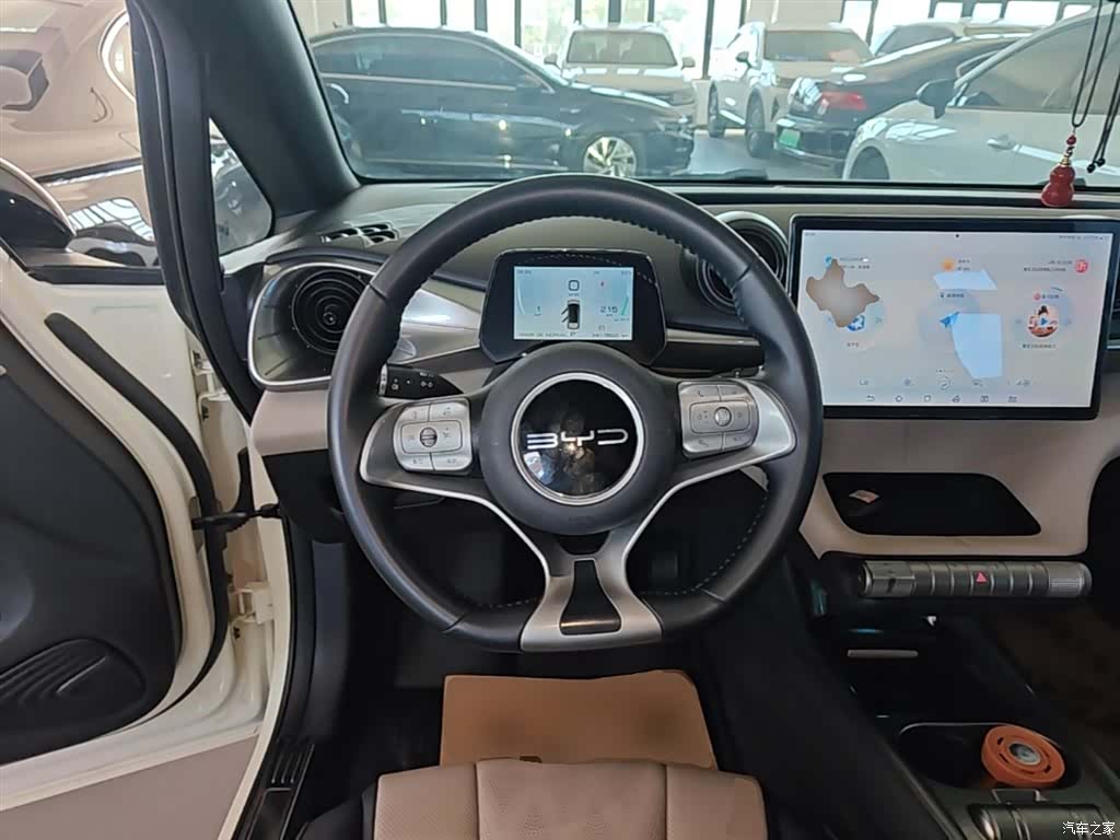 BYD Dolphin, 2023 11