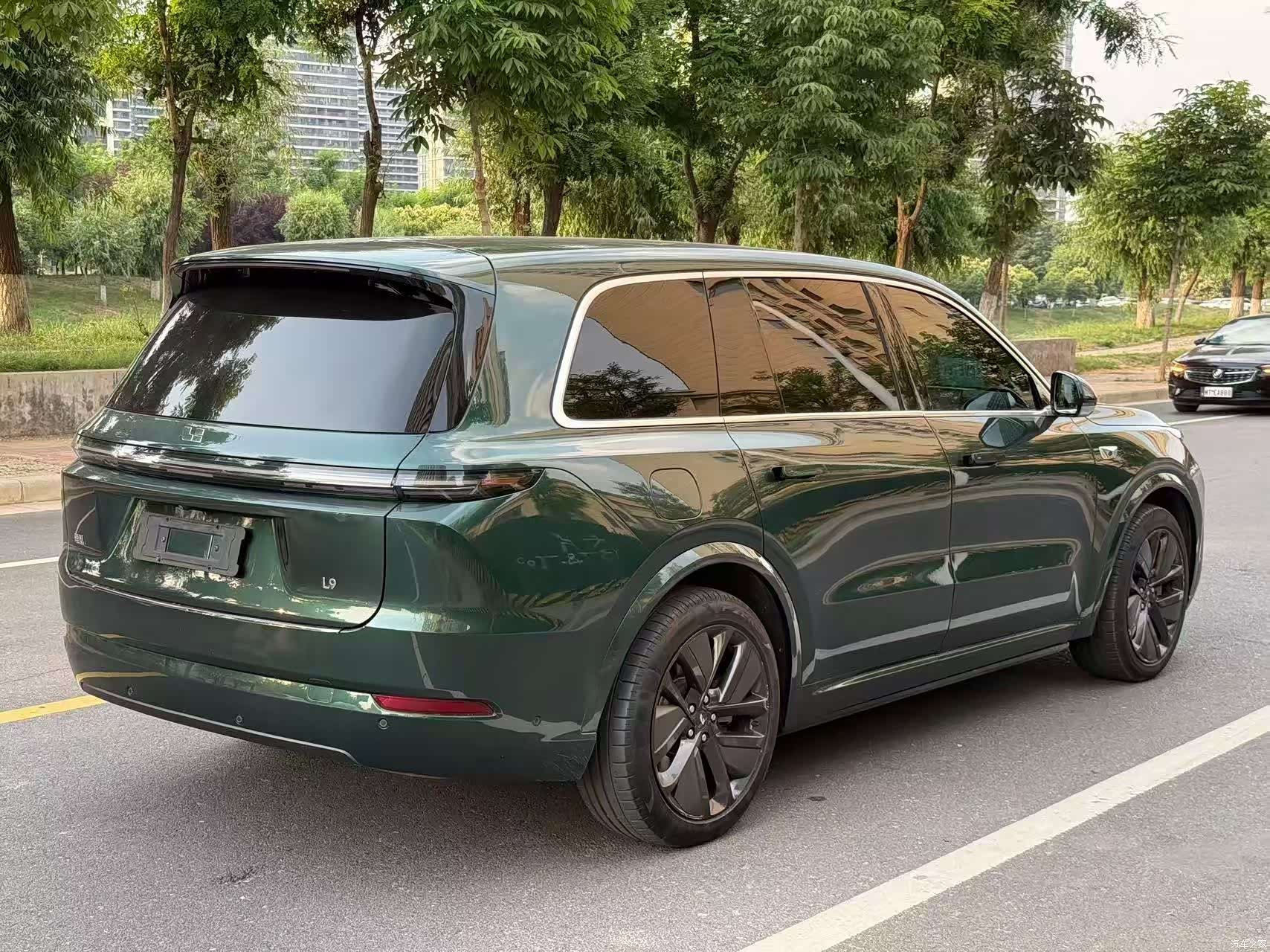 Li Auto L9, 2023 9