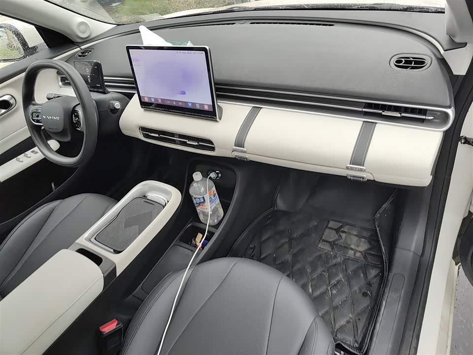 Dongfeng Nammi Nano 01