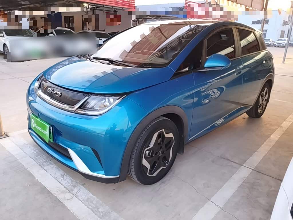 BYD Dolphin 2021 405km Fashion