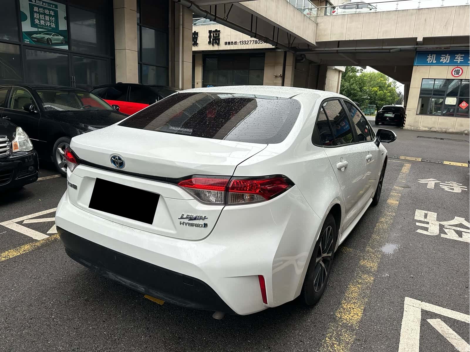 Toyota Levin, 2024 6