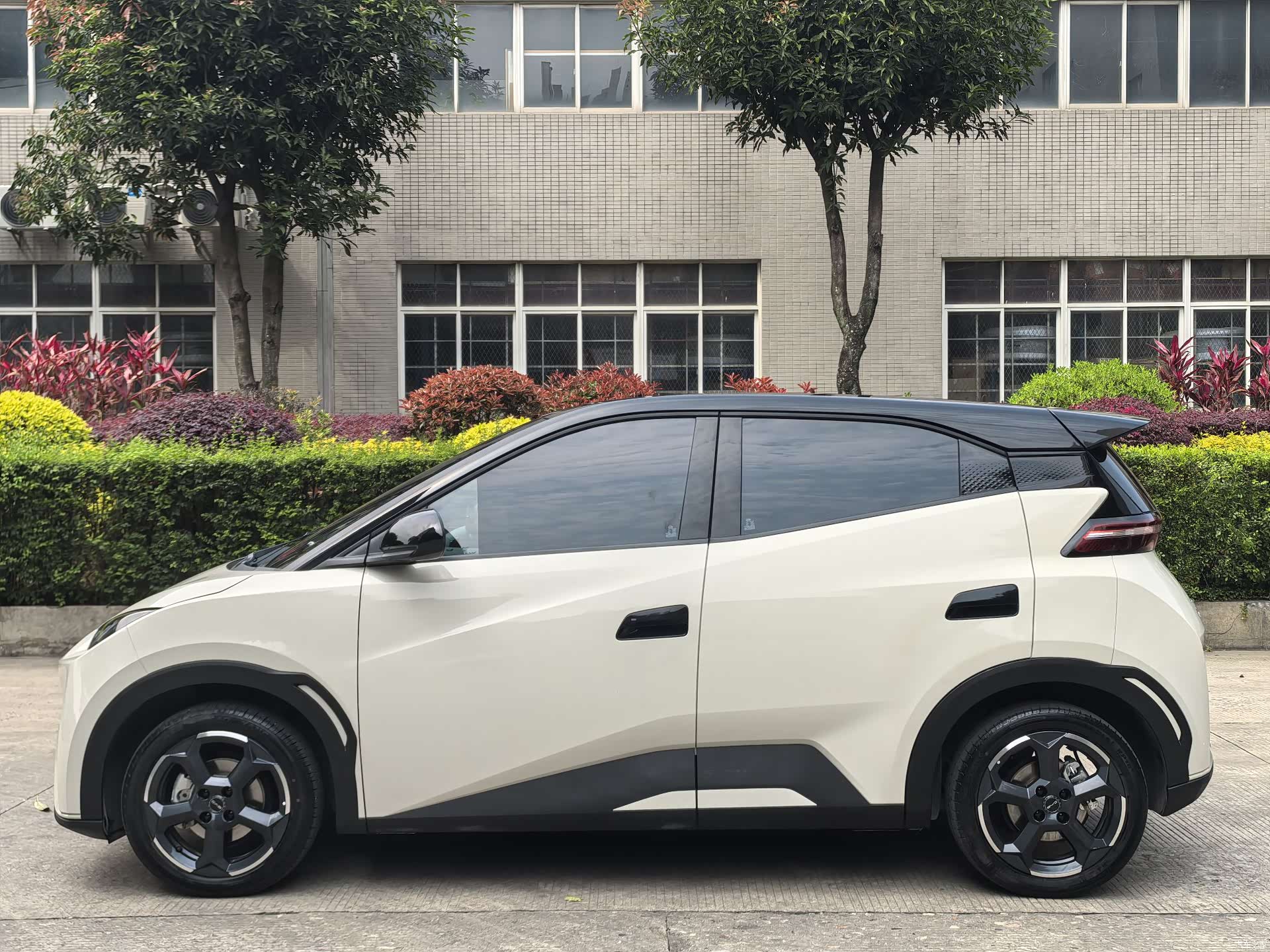 BYD Seagull, 2024 2