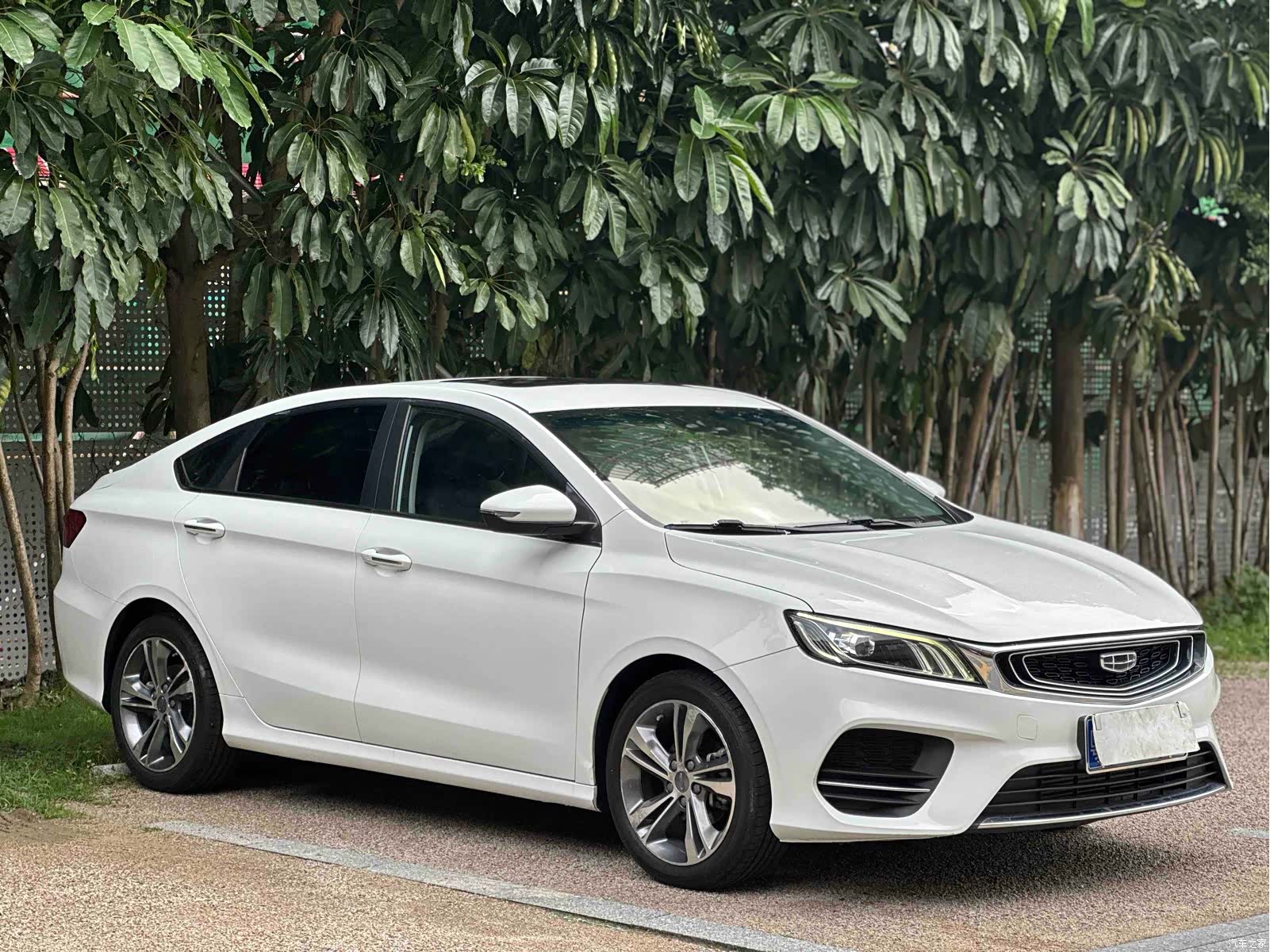Geely Binray, 2019 3
