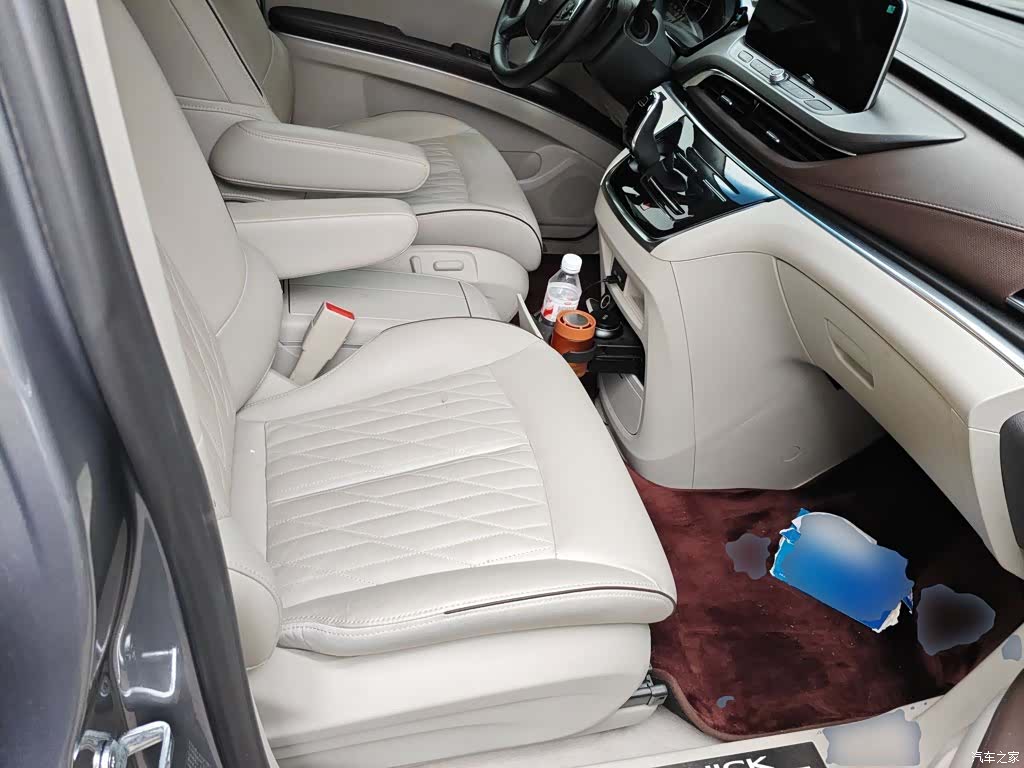 Buick GL8, 2021 19