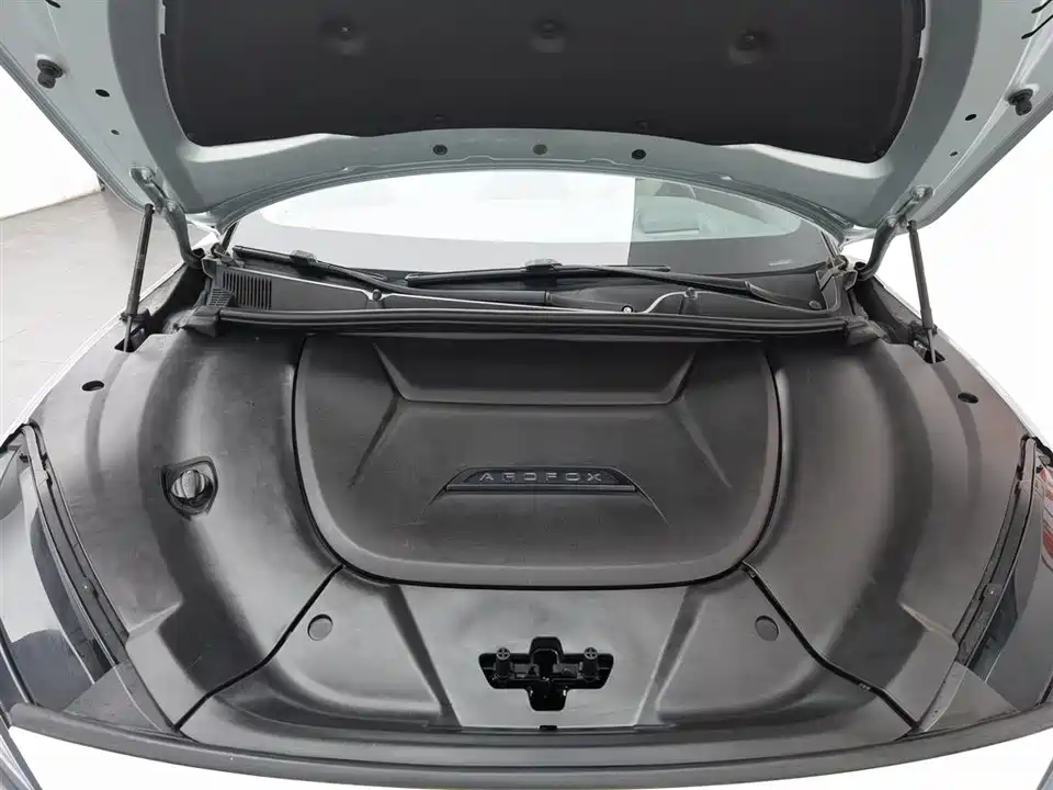 ARCFOX Polar Fox Alpha S