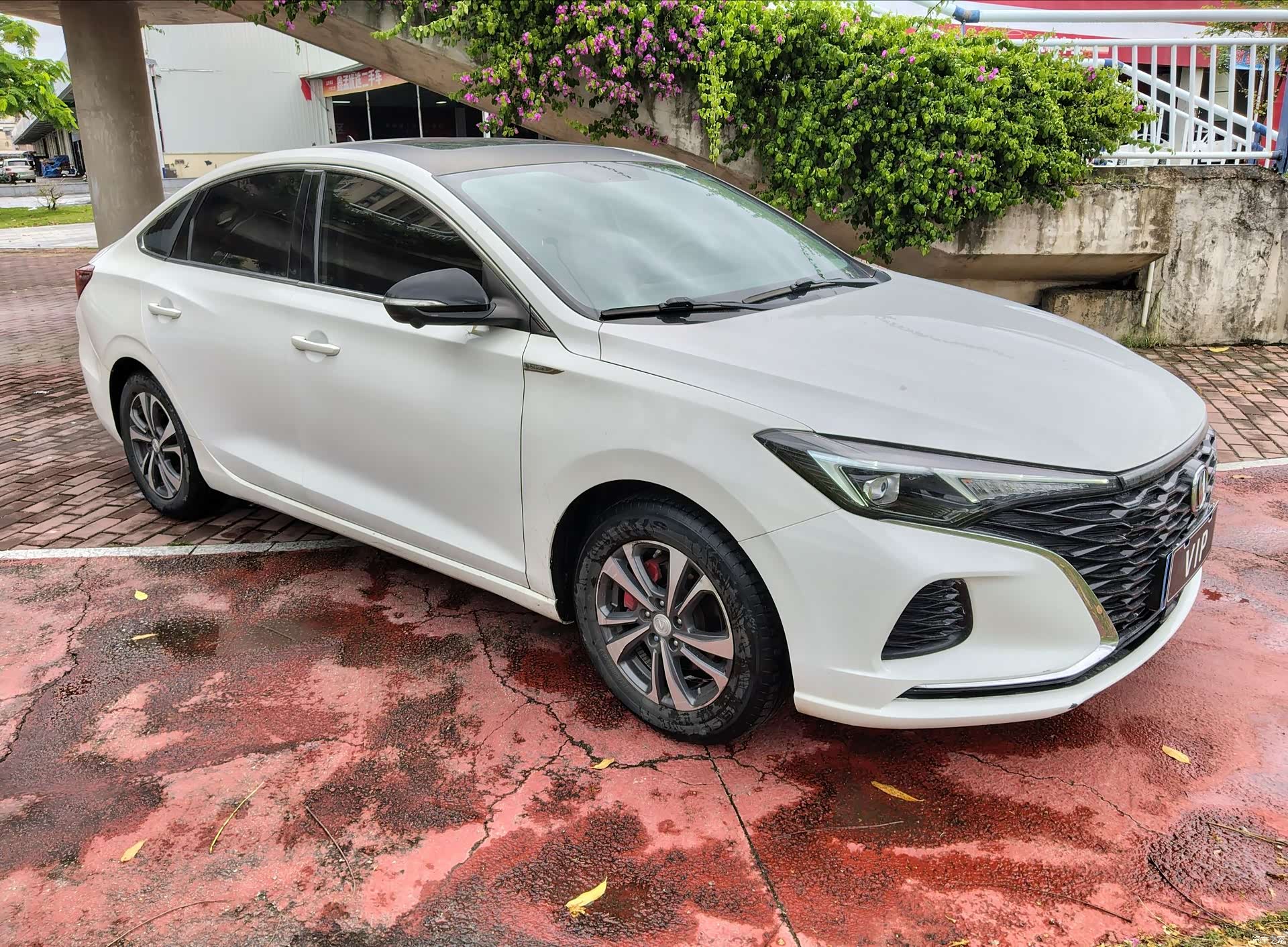 Changan Eado, 2021 3