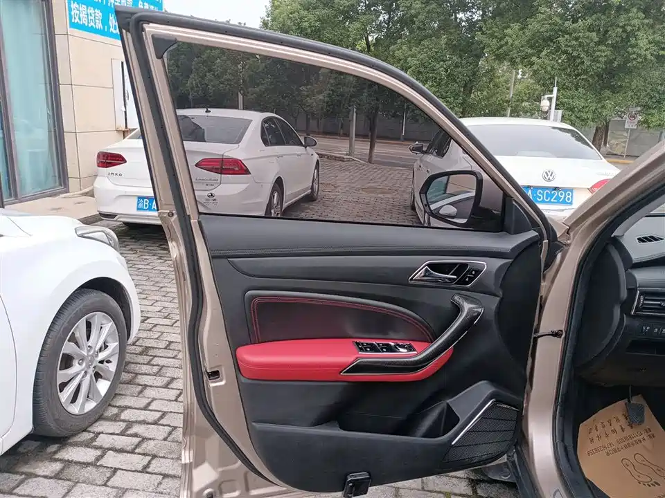 Leopaard Cheetah CS9