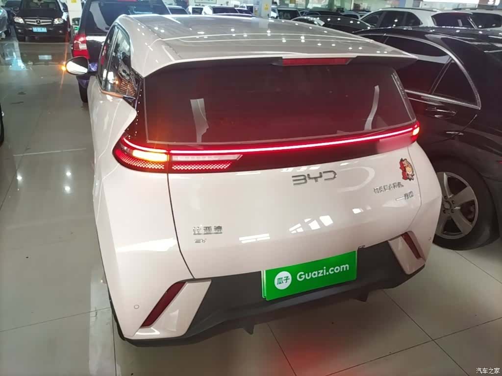 BYD Seagull, 2024 4