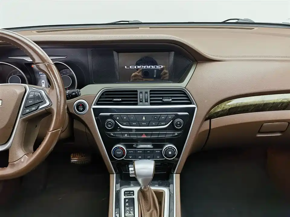 Leopaard Cheetah CS10