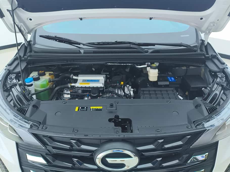 Trumpchi Trumpchi M6