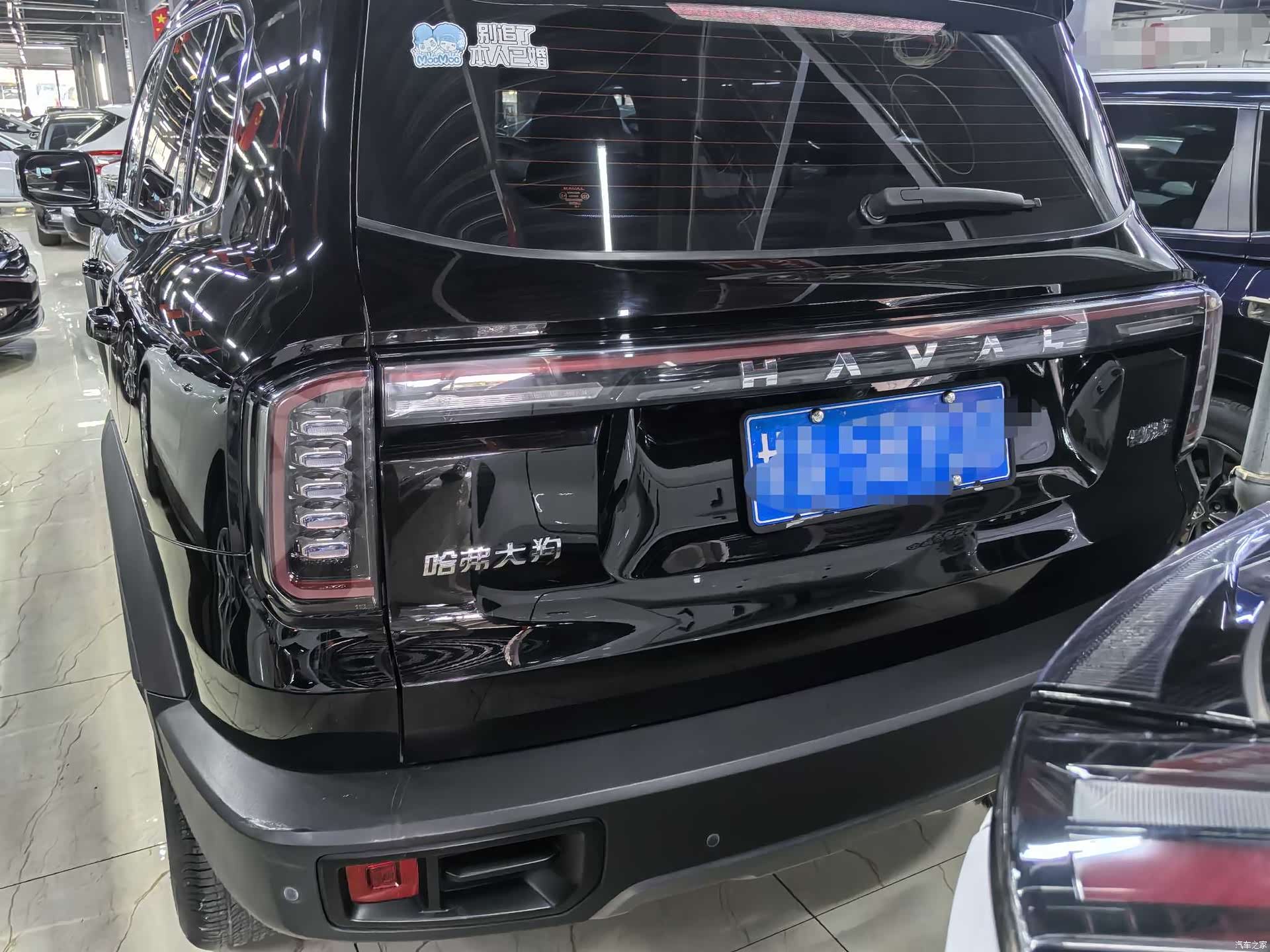 Haval Big Dog, 2024 все фото