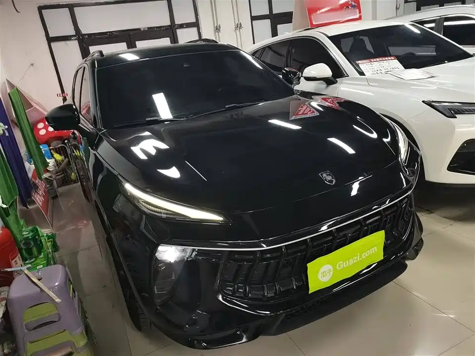 Forthing Popular T5 EVO