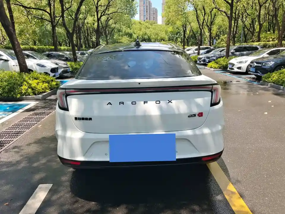 ARCFOX Polar Fox Alpha S