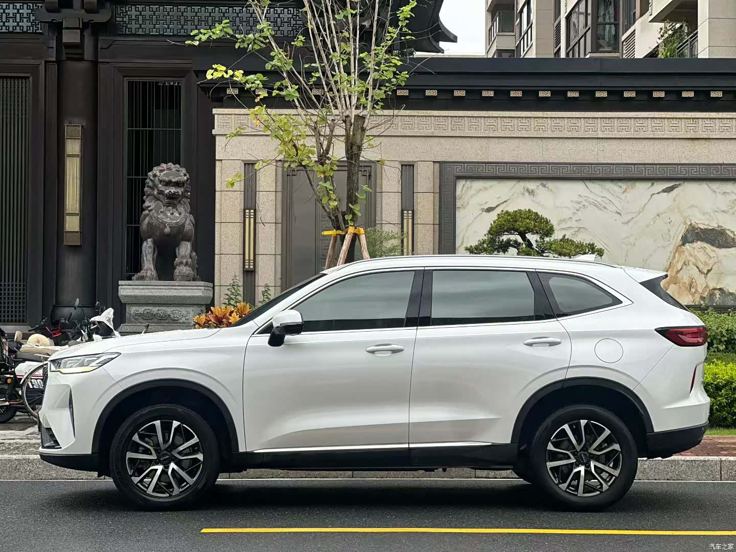Haval H6, 2022 все фото