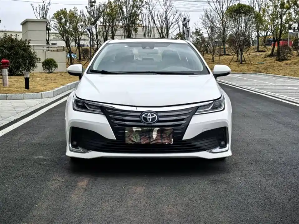 Toyota Asian lion