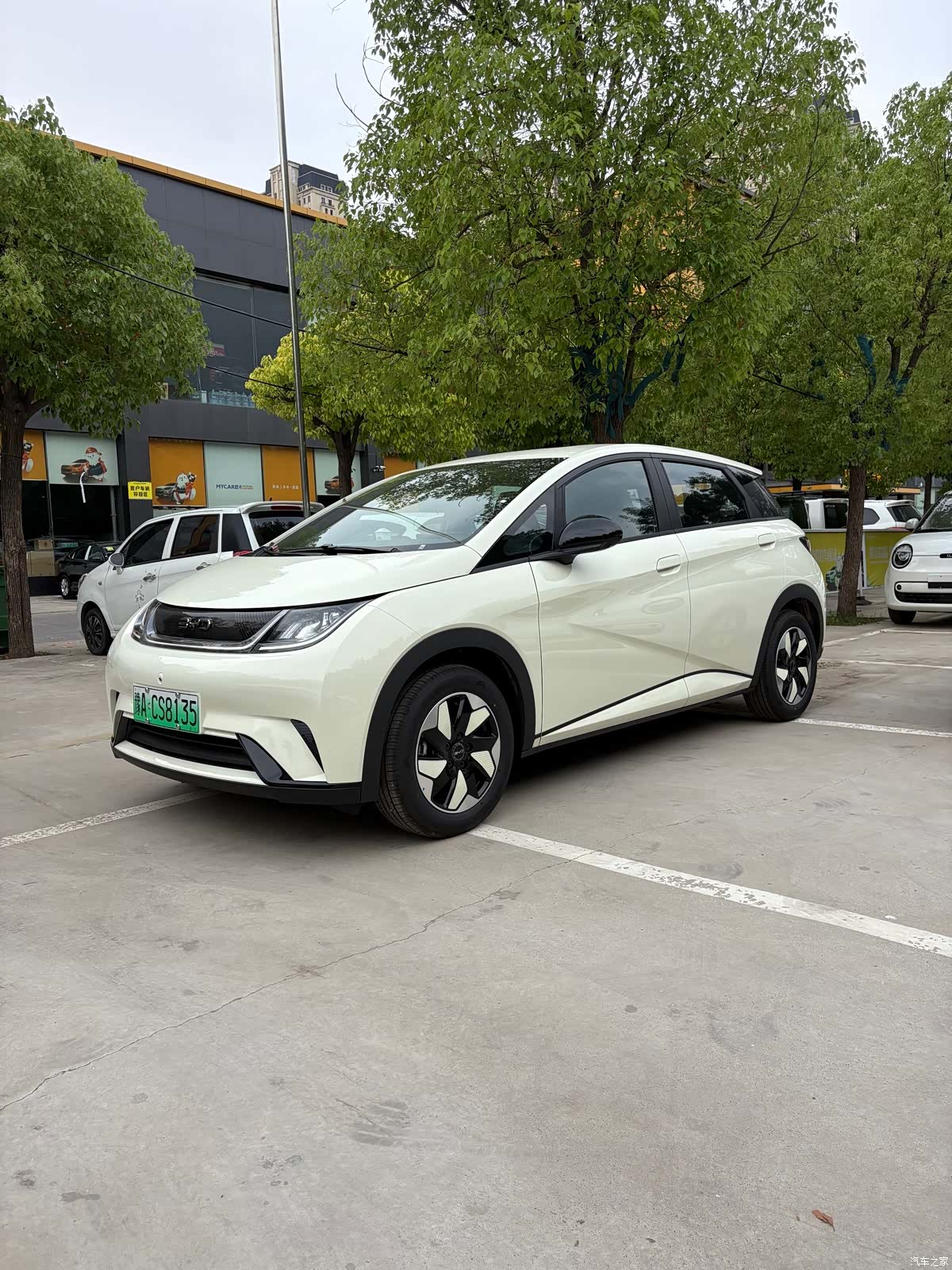 BYD Dolphin