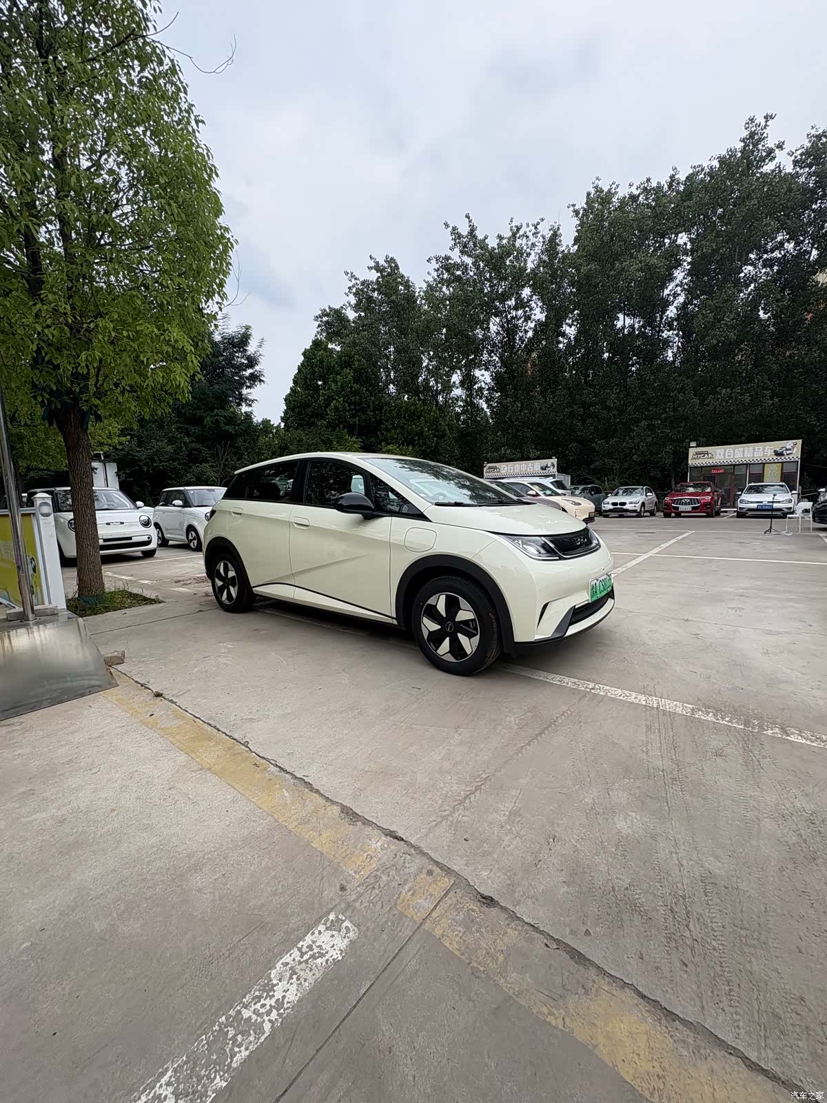 BYD Dolphin, 2026 3
