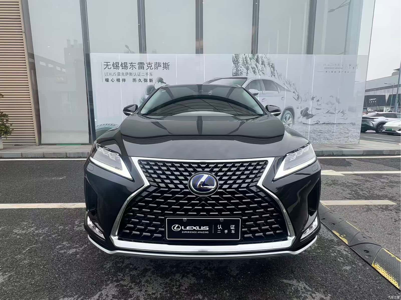 Lexus RX, 2021 все фото