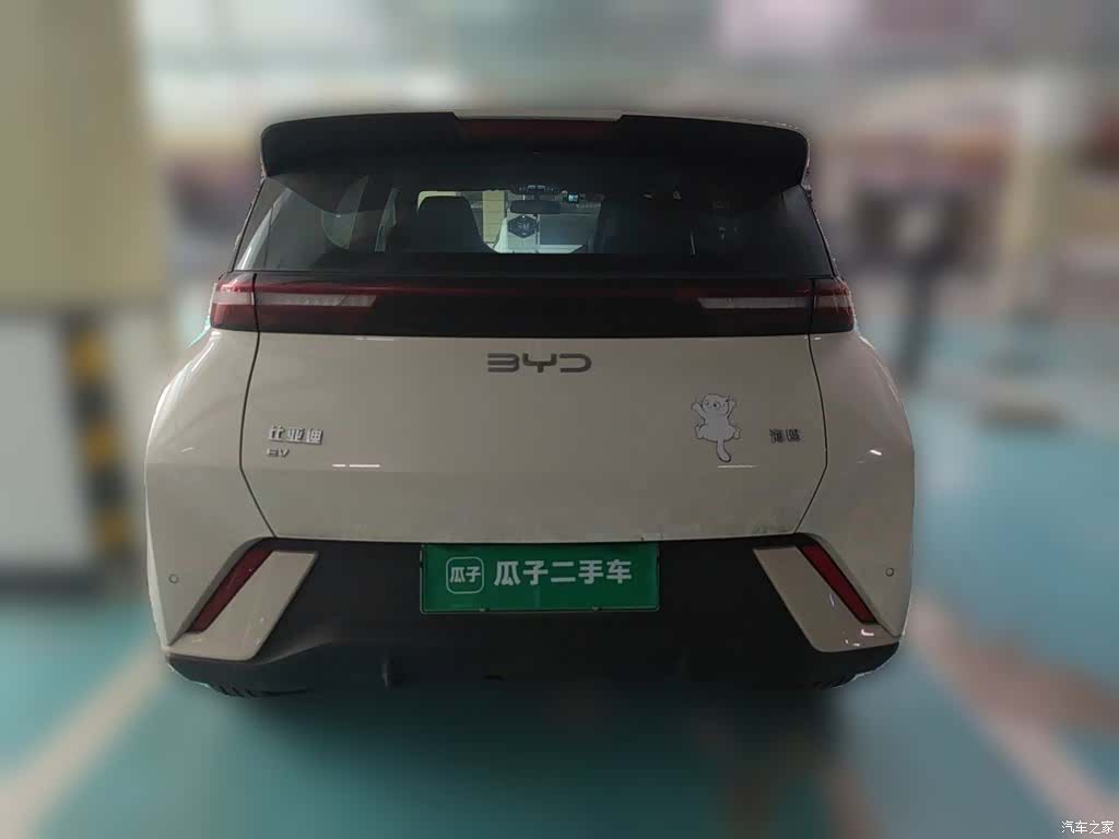 BYD Seagull, 2024 4