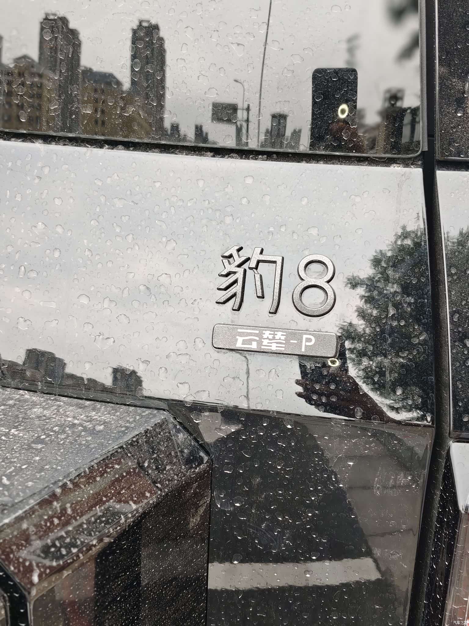 Fang Cheng Bao Bao 8, 2024 20