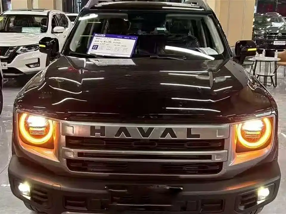 Haval Big dog