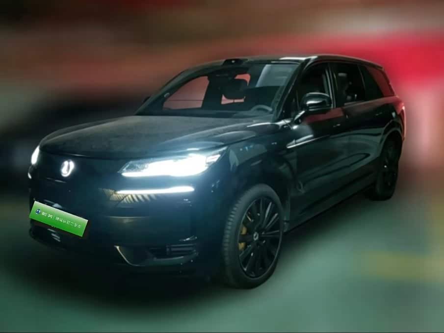 Denza N9