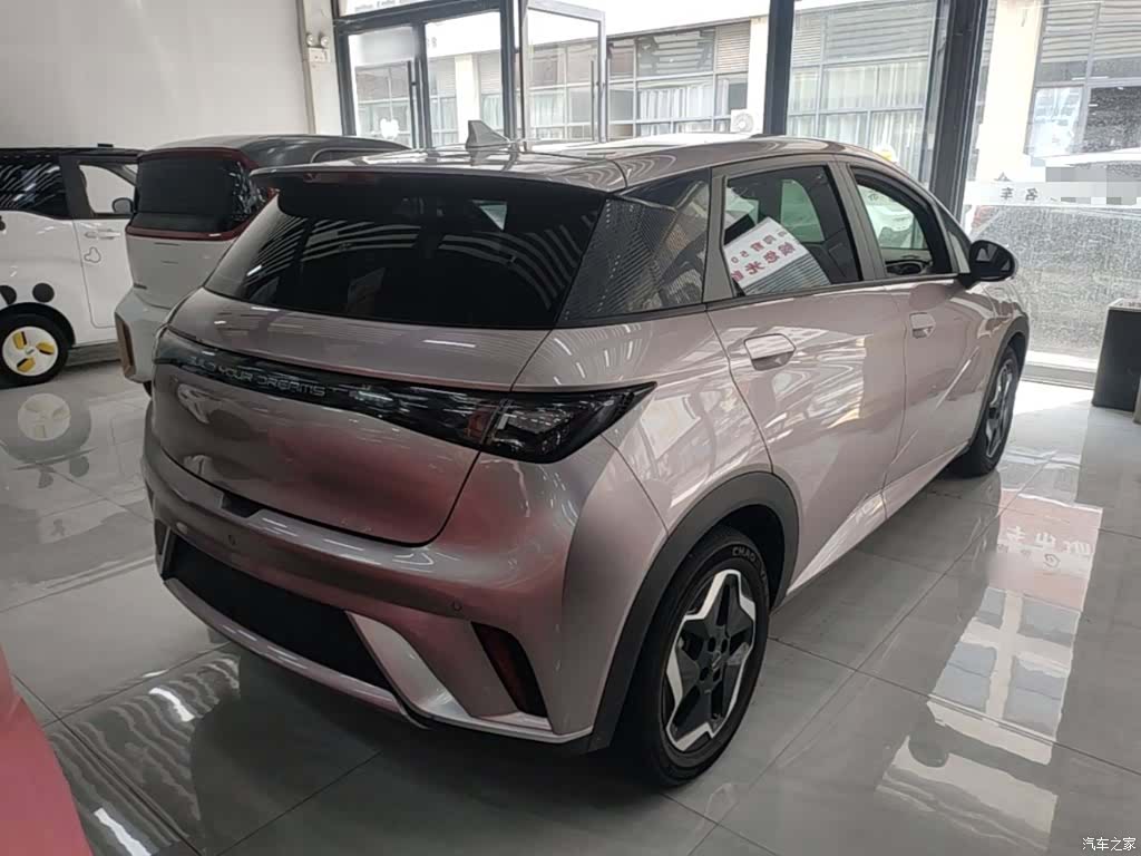 BYD Dolphin, 2023 7