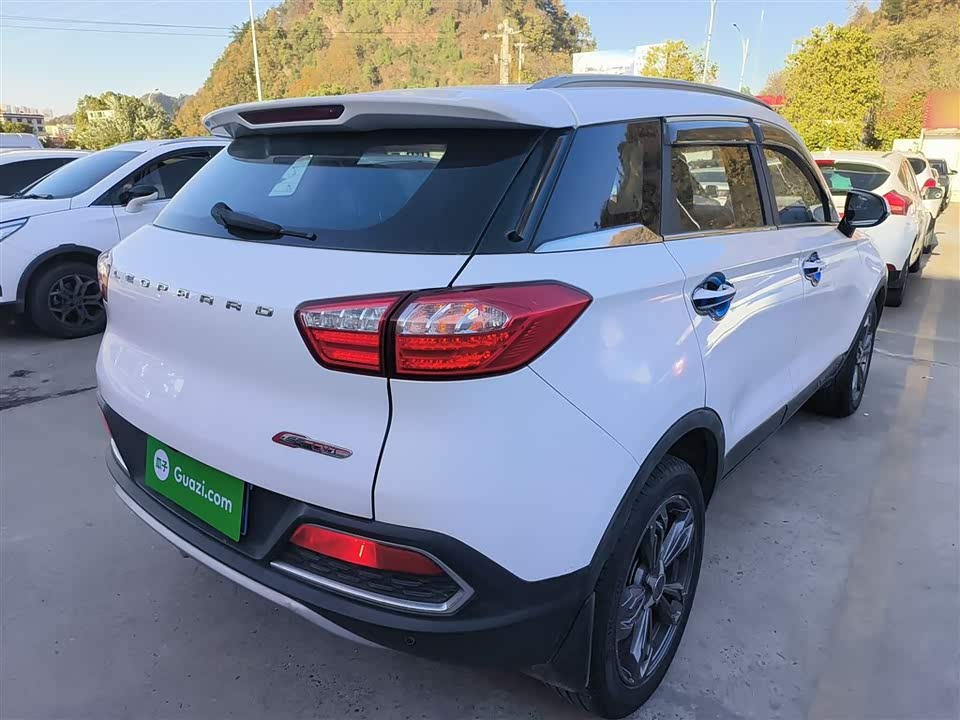 Leopaard Cheetah CS9