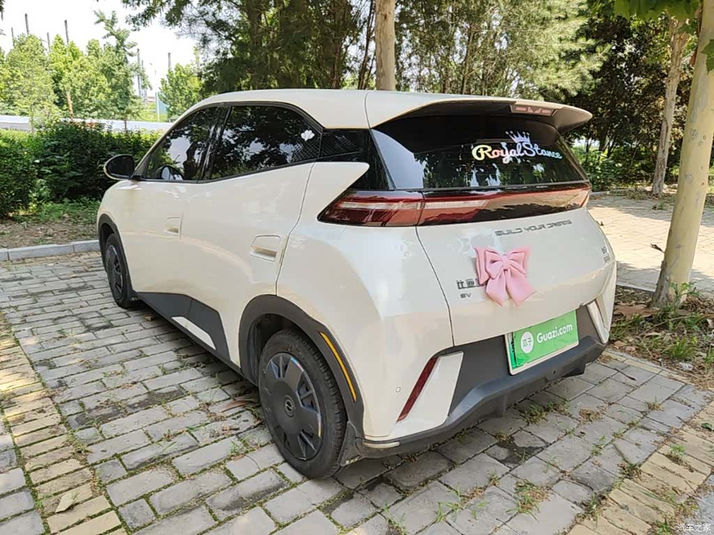 BYD Seagull, 2024 23