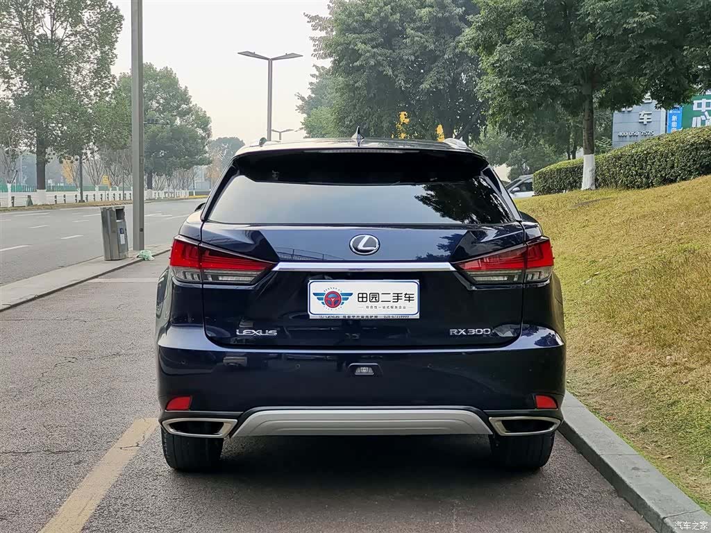 Lexus RX, 2022 все фото
