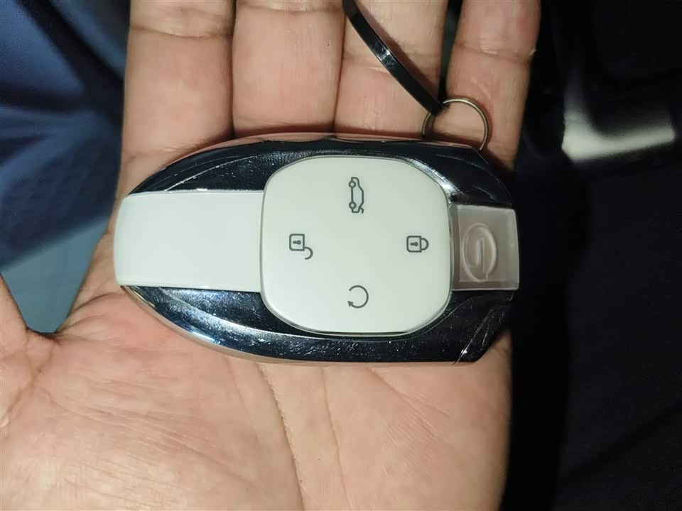 Trumpchi Shadow Leopard